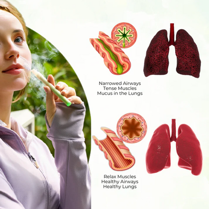 🔥 Divifit™ Mullein Aroma Diffuser – Relief for Cough, Congestion & Breathing Comfort💝